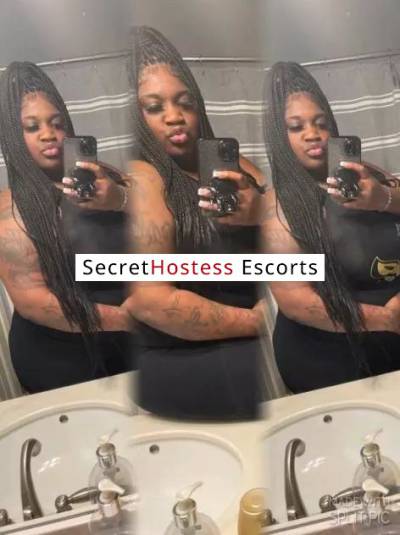 26Yrs Old Escort 182CM Tall Los Angeles CA Image - 1