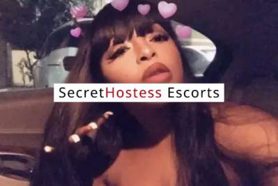 27 year old French Escort in Brooklyn NY Unforgettable Nights in Paris Limited-Time Escort 