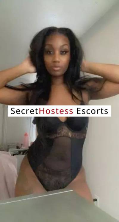 28Yrs Old Escort 74KG 165CM Tall Tampa FL Image - 2