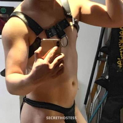 29Yrs Old Escort 171CM Tall Wollongong Image - 1