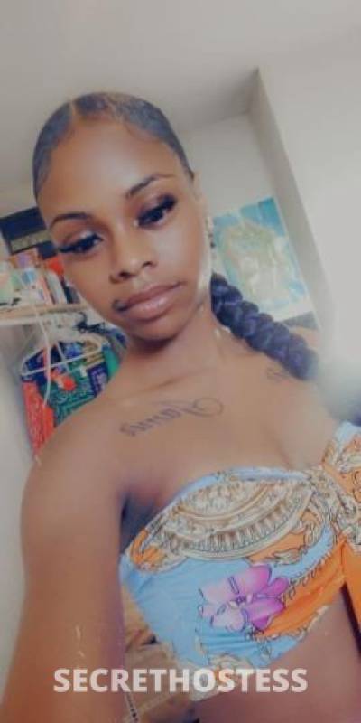 30 year old Escort in Pensacola FL New To Town Hello Sunshine ☀ Angelica here