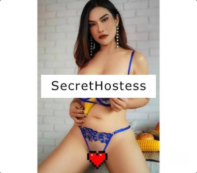 Miya Thai 29Yrs Old Escort Size 6 Basingstoke Image - 4