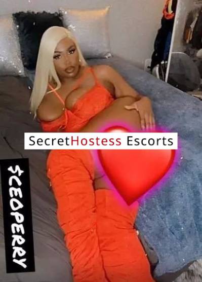 Naomi 26Yrs Old Escort 81KG 162CM Tall Seattle WA Image - 1