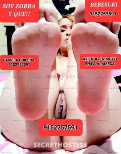 PAMELAANDERSONLAPOTRAZAIKA 25Yrs Old Escort Las Cruces NM Image - 9