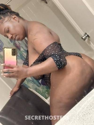 33 year old Escort in Savannah GA THICK FINE &amp; DARK BROWN 90 QV