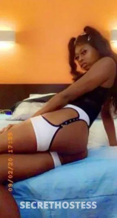 Rosa 24Yrs Old Escort Saginaw MI Image - 2