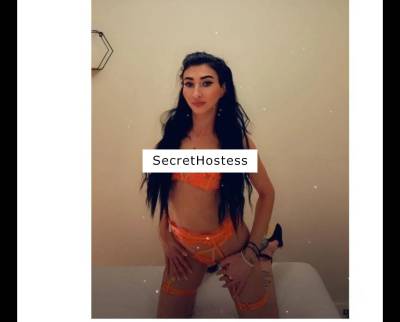 Vanessa new escort. best owo ❤️❤️party girl in Cardiff