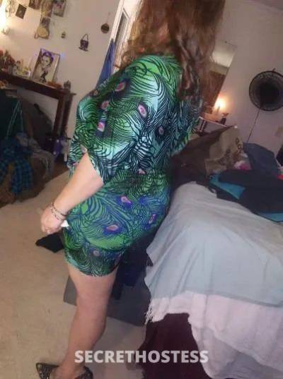  Kitty 34Yrs Old Escort Muscle Shoals AL Image - 4