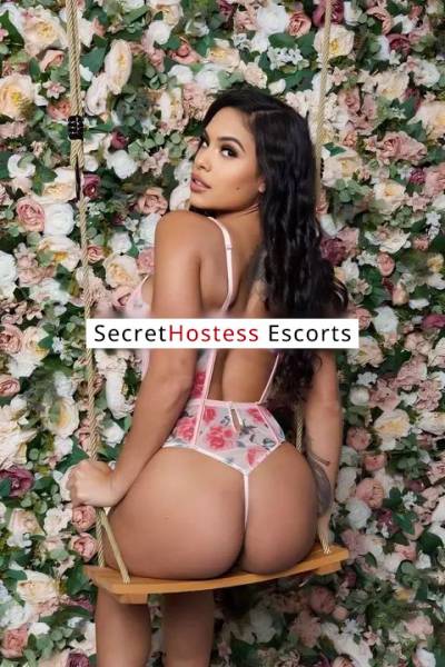 23 Year Old Brazilian Escort Miami FL Brunette - Image 7