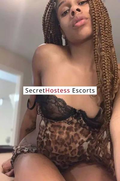 24Yrs Old Escort Tampa FL Image - 2