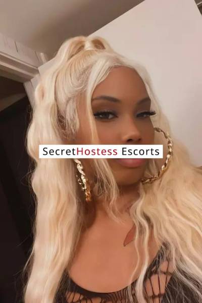 24Yrs Old Escort Los Angeles CA Image - 1