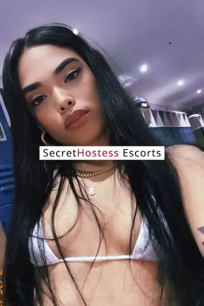 24 Year Old Latino Escort Tampa FL - Image 2