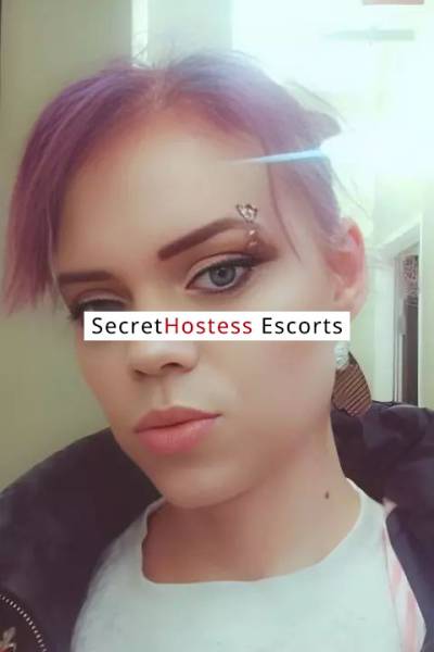 29Yrs Old Escort 68KG 180CM Tall Albuquerque NM Image - 2