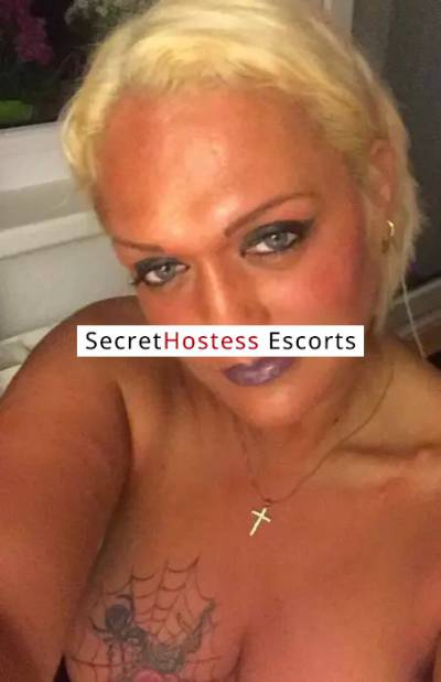 39 Year Old Lithuanian Escort Dubai Blonde - Image 6