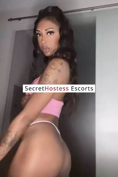 Bailey 26Yrs Old Escort 66KG 175CM Tall St. Louis MO Image - 1