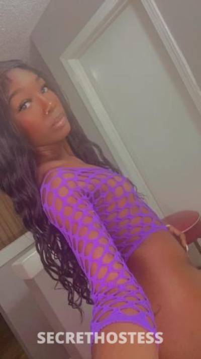 Cashmere 23Yrs Old Escort Dallas TX Image - 5