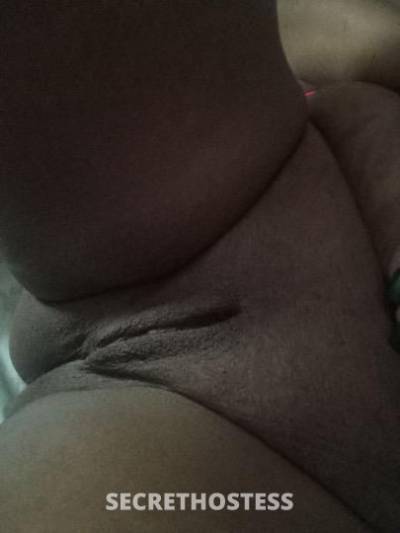 JRABBIT 30Yrs Old Escort Toledo OH Image - 3