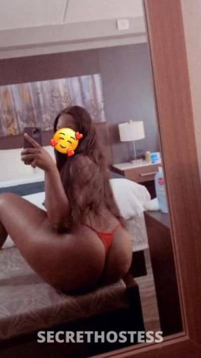 Layla 26Yrs Old Escort Toledo OH Image - 3