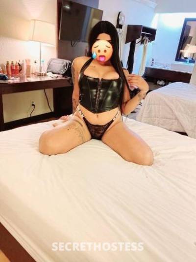 Paola 23Yrs Old Escort Northern Virginia DC Image - 5