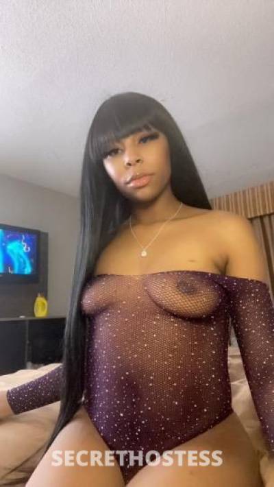 Paris 21Yrs Old Escort Oklahoma City OK Image - 2