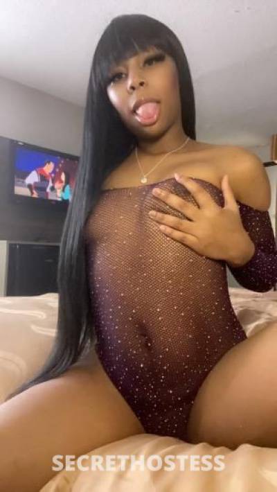 Paris 21Yrs Old Escort Oklahoma City OK Image - 3