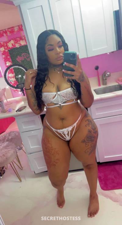 Rosa 24Yrs Old Escort Elmira NY Image - 1