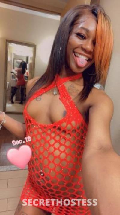 Sassy 26Yrs Old Escort Toledo OH Image - 3