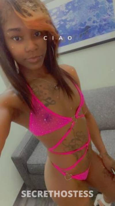 Sassy 26Yrs Old Escort Toledo OH Image - 6