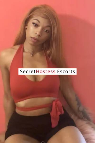 22Yrs Old Escort Orlando FL Image - 4