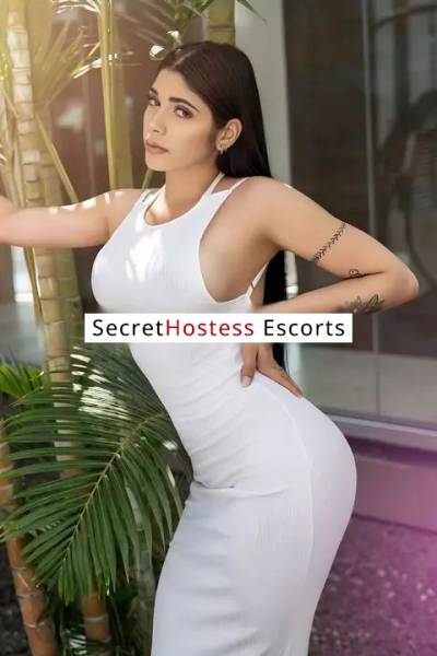 25 Year Old Venezuelan Escort Santa Cruz de Tenerife - Image 4