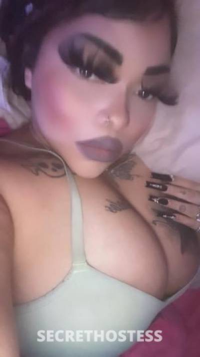 28Yrs Old Escort Phoenix AZ Image - 1