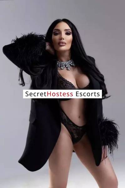 28 Year Old Slavic Escort Berlin - Image 3