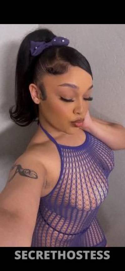 Alexis 22Yrs Old Escort Concord CA Image - 0