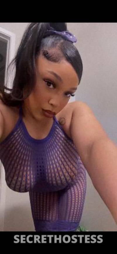 Alexis 22Yrs Old Escort Concord CA Image - 2