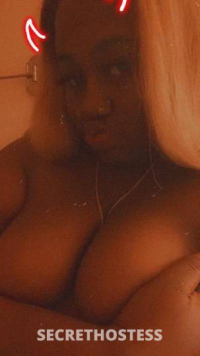 Coco 24Yrs Old Escort San Fernando Valley CA Image - 0