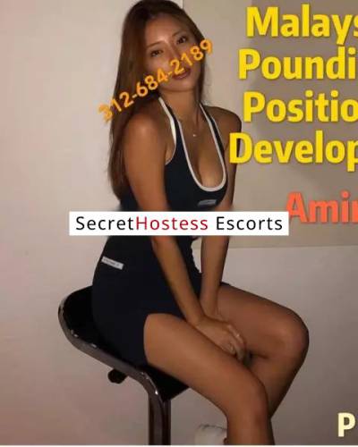 22 Year Old Asian Escort Chicago IL Black Hair Brown eyes - Image 7
