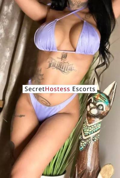 24 Year Old Brazilian Escort Munich - Image 7