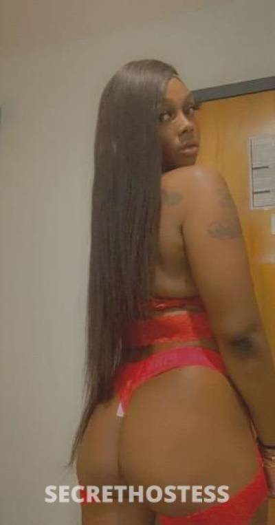 24Yrs Old Escort Los Angeles CA Image - 1