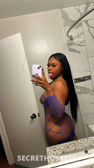 24Yrs Old Escort Oakland CA Image - 1