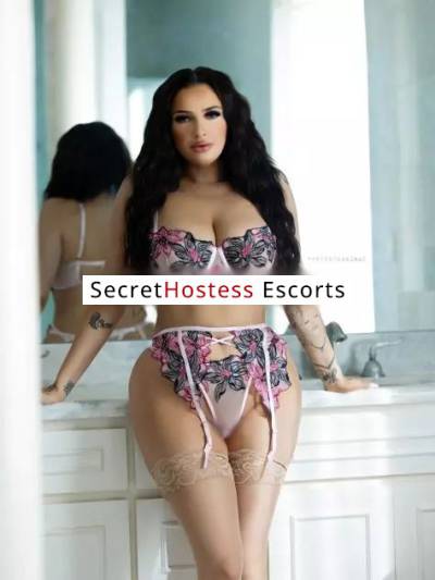 25 Year Old Escort Boston MA Brunette - Image 2