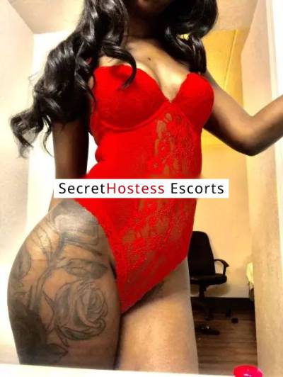 25Yrs Old Escort 70KG 180CM Tall New Orleans LA Image - 4