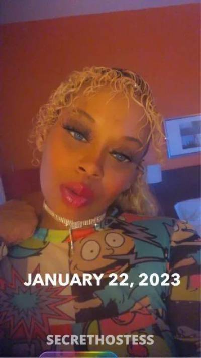 28 year old Escort in Alexandria LA xxxx-xxx-xxx ❤️❤️ TROPICAL ❤️❤️❤️ Sweet 
