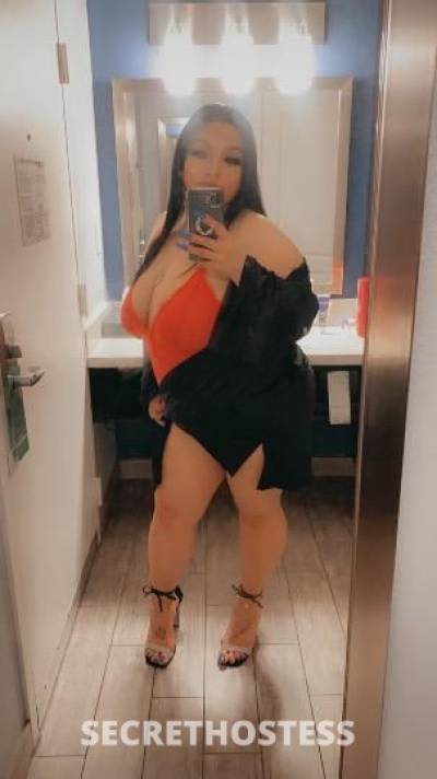 33Yrs Old Escort San Jose CA Image - 1