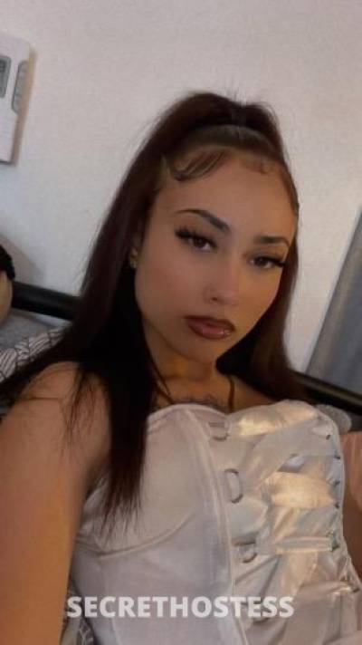 19 Year Old Italian Escort San Francisco CA - Image 5