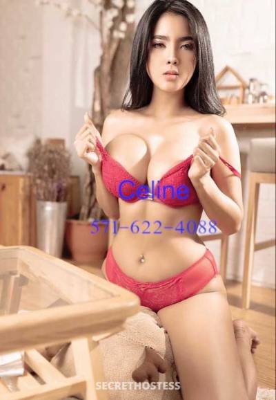 Celine 28Yrs Old Escort Northern Virginia Image - 4