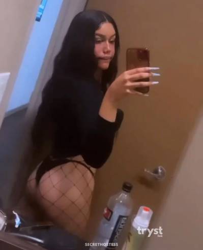 20 Year Old Mixed Escort Houston TX - Image 3