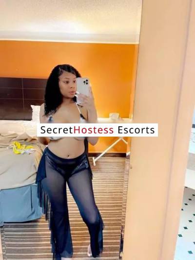 22 Year Old Brazilian Escort Dallas TX - Image 3