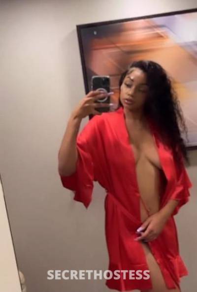 22 year old Escort in Washington DC The pussy fairy