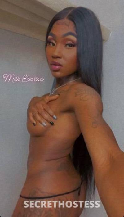 24Yrs Old Escort Shreveport LA Image - 2