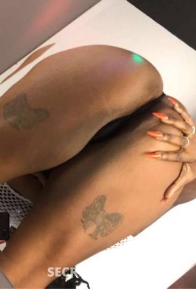 24 Year Old Haitian Escort Tampa FL - Image 2